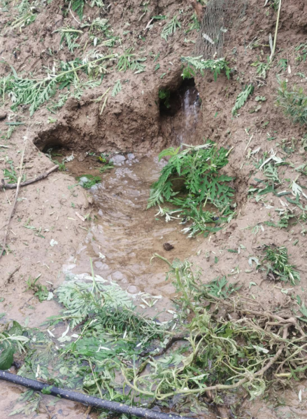 尚橋社區(qū):圩堤現(xiàn)漏洞 干群齊搶險