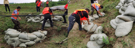 尚橋社區(qū):圩堤現(xiàn)漏洞 干群齊搶險