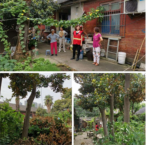 修整險樹 除危保安——電瓷社區(qū)黨群服務(wù)中心在行動