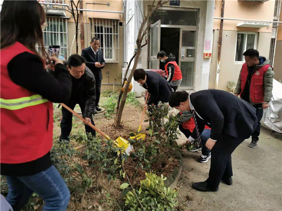 馨康苑社區(qū)黨總支開展“結(jié)對共建”義務(wù)植樹活動