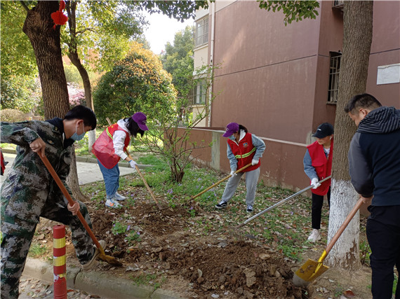 馨康苑社區(qū)開展“牽手共建”綠化修補(bǔ)行動
