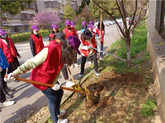 馨康苑社區(qū)開展“牽手共建”綠化修補(bǔ)行動