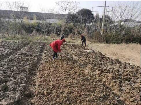 “常青菜園”柏樹村殘疾人農(nóng)療服務(wù)基地掛牌開(kāi)園