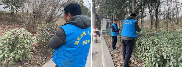 東陽(yáng)社區(qū)：修剪綠籬 美化環(huán)境