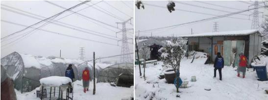 新杭社區(qū):金陵飄雪兆豐年 清掃路面送便利